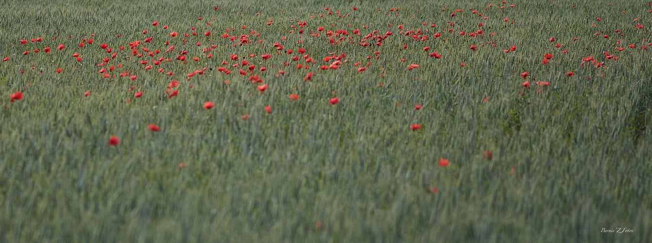 tableau d'impressionniste