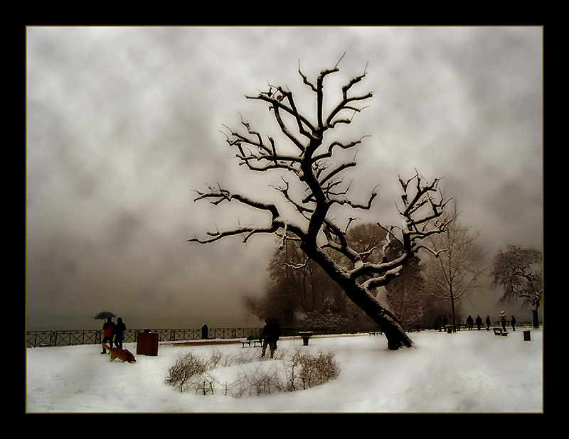 Tableau Hivernal / Breughel l'Ancien