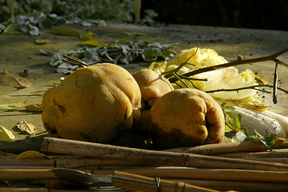 tablefruit