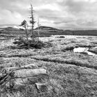 Tablelands, Gros Morne NP