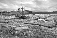 Tablelands, Gros Morne NP