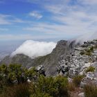 Tablemountain