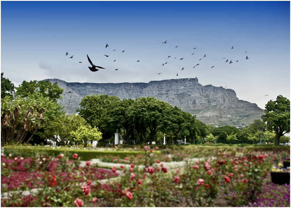 Tablemountain Capetown