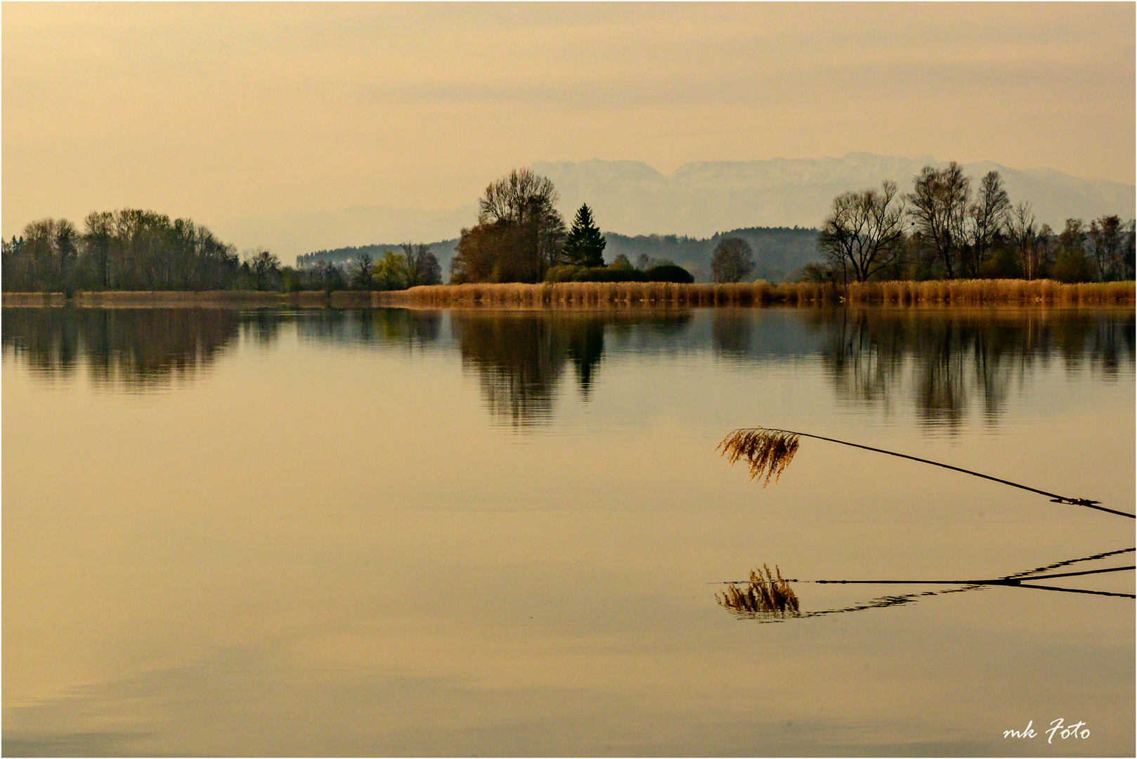 Tachinger See