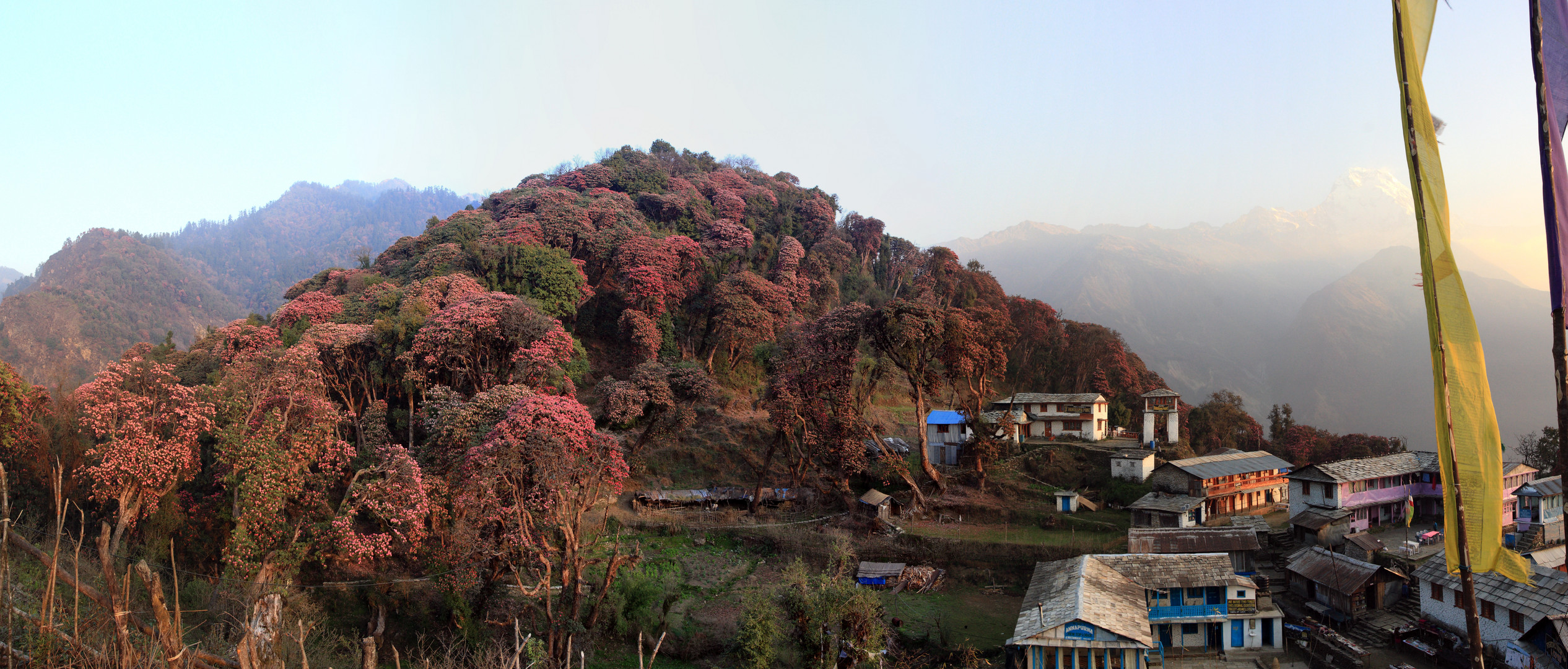 Tadapani, Nepal 29.3.2010