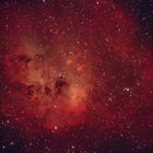 Tadpoles Nebula IC 410 im Sternbild Fuhrmann
