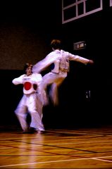 Tae Kwon Do