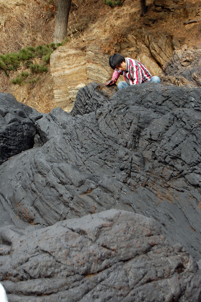 Taean Oil Spill Coverage, Black against the Back