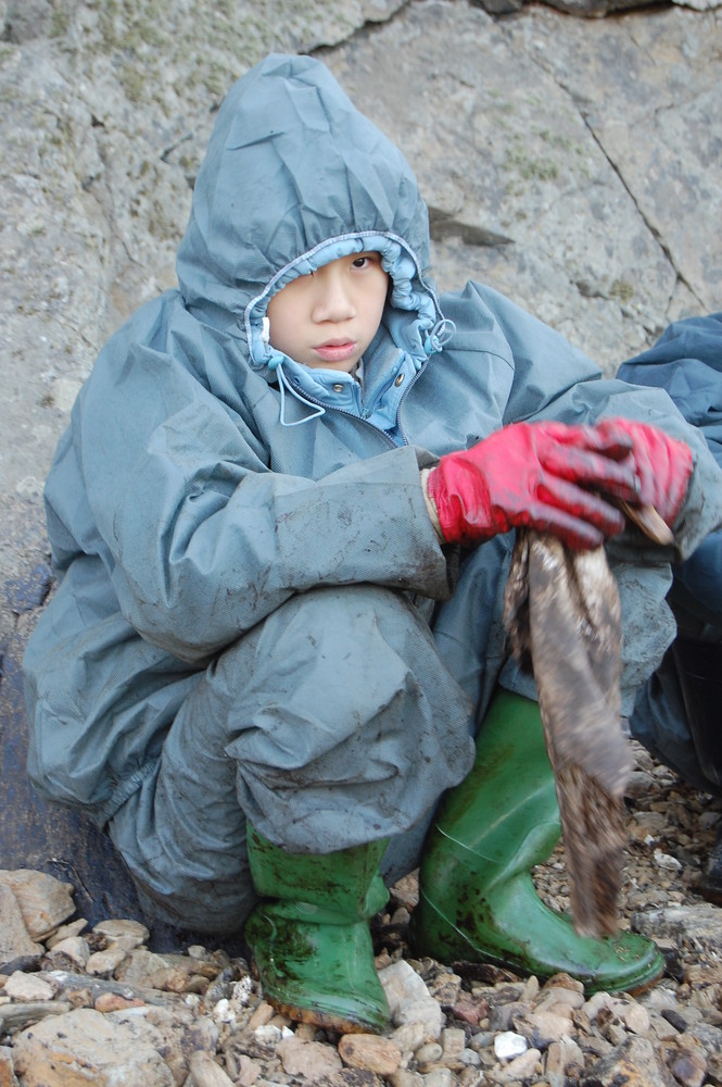 Taean Oil Spill, Disaster for all Ages