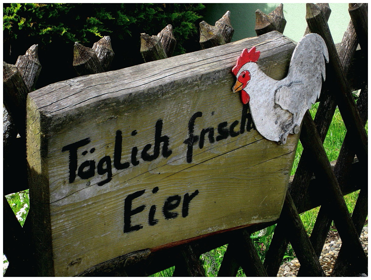 Täglich frische Eier