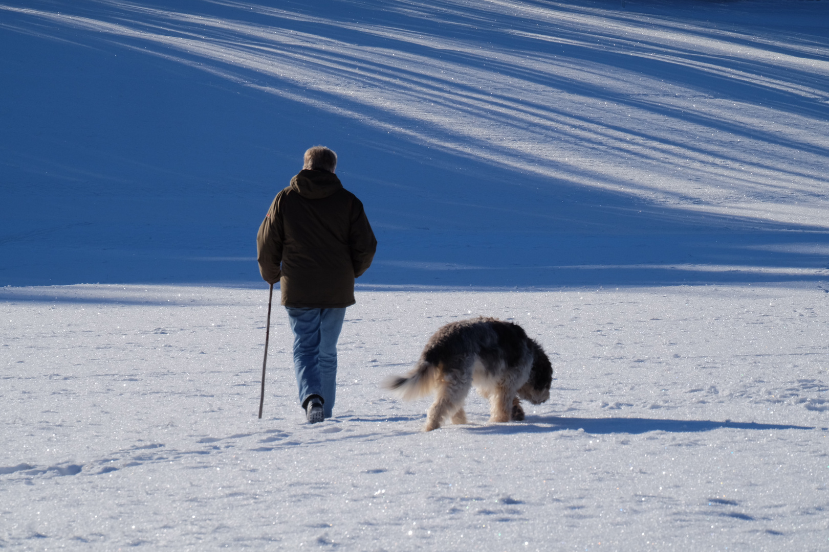 täglicher Spaziergang..