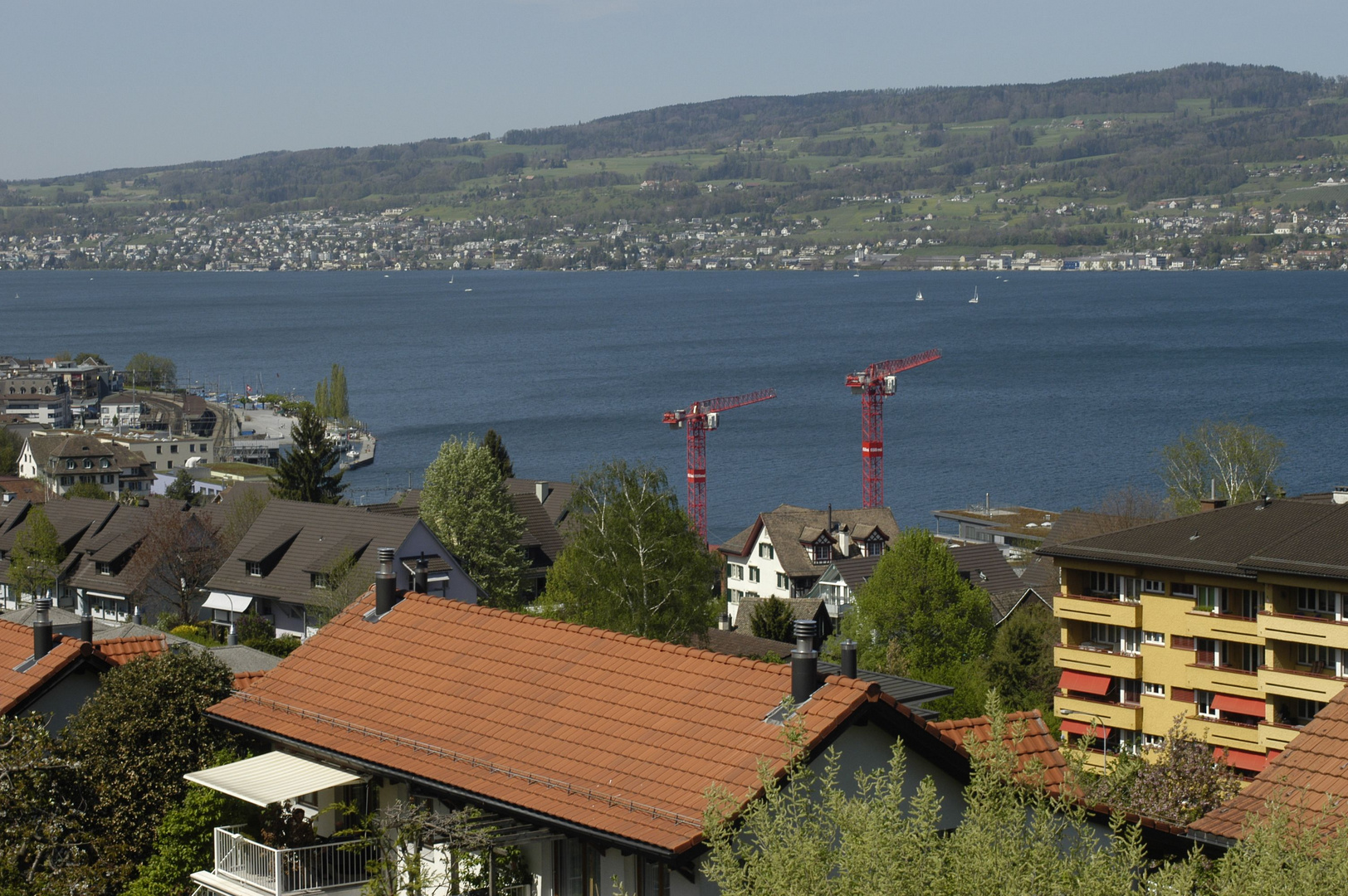 Täglicher Zürichsee