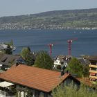 Täglicher Zürichsee