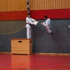 Taekwondo Bruchtest