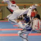 Taekwondo Europameisterschaft 2006 in Bonn