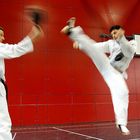 Taekwondo Kick