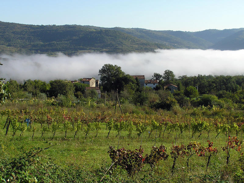 Täler bei Motovun