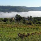 Täler bei Motovun