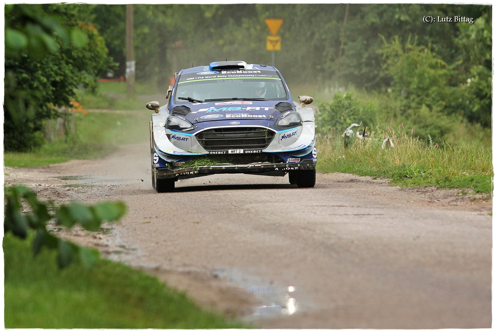 Tänak auf seinen letzten Metern