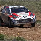 Tänak in grobem Gelände