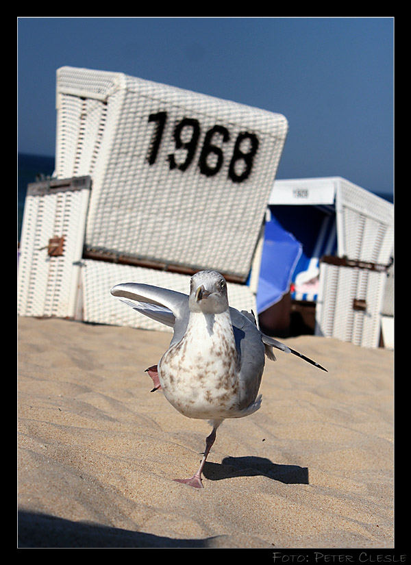 Tänzchen am Strand