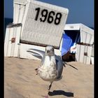 Tänzchen am Strand