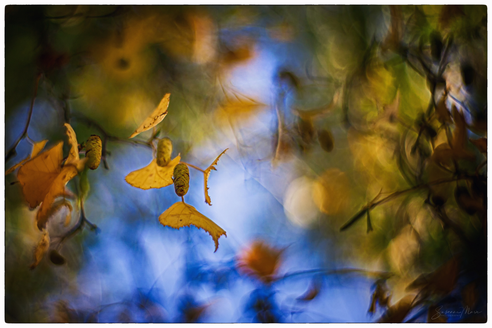 Tänzer im Herbstwind