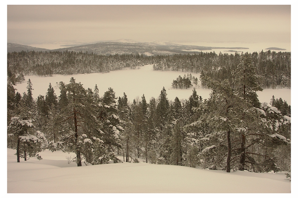 Tärnattvatten