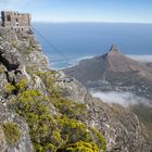 Tafelberg