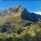 Tafelberg