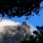 Tafelberg Capetown Bergstation