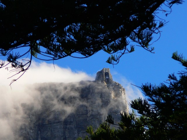 Tafelberg Capetown Bergstation