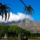 Tafelberg die 2te