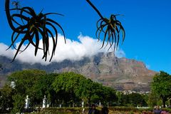 Tafelberg die 2te