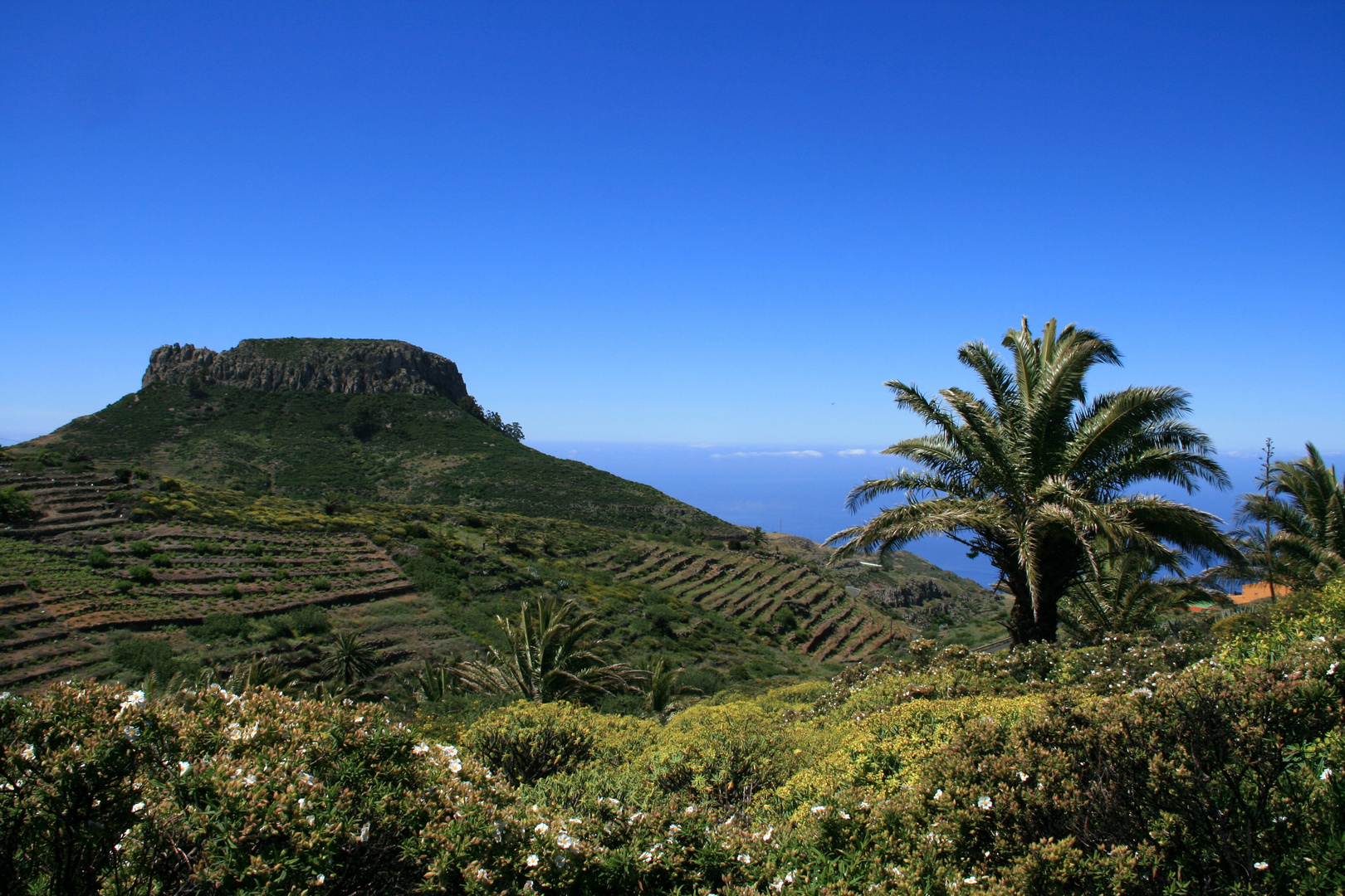 Tafelberg Fortaleza