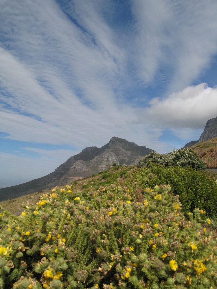 Tafelberg in Kapstadt, Südafrika