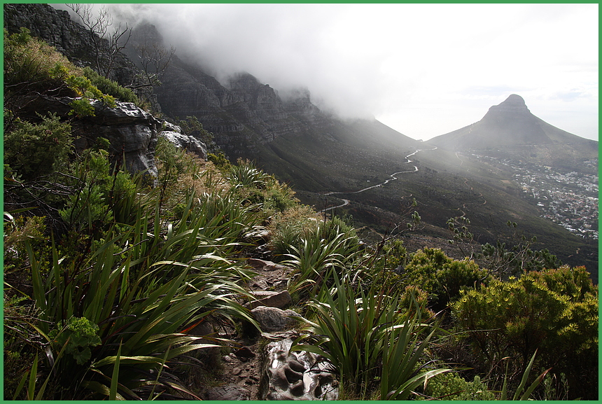 Tafelberg  Kapstadt Südafrika Touren ca50d-80-col +Fotos +Reisetext