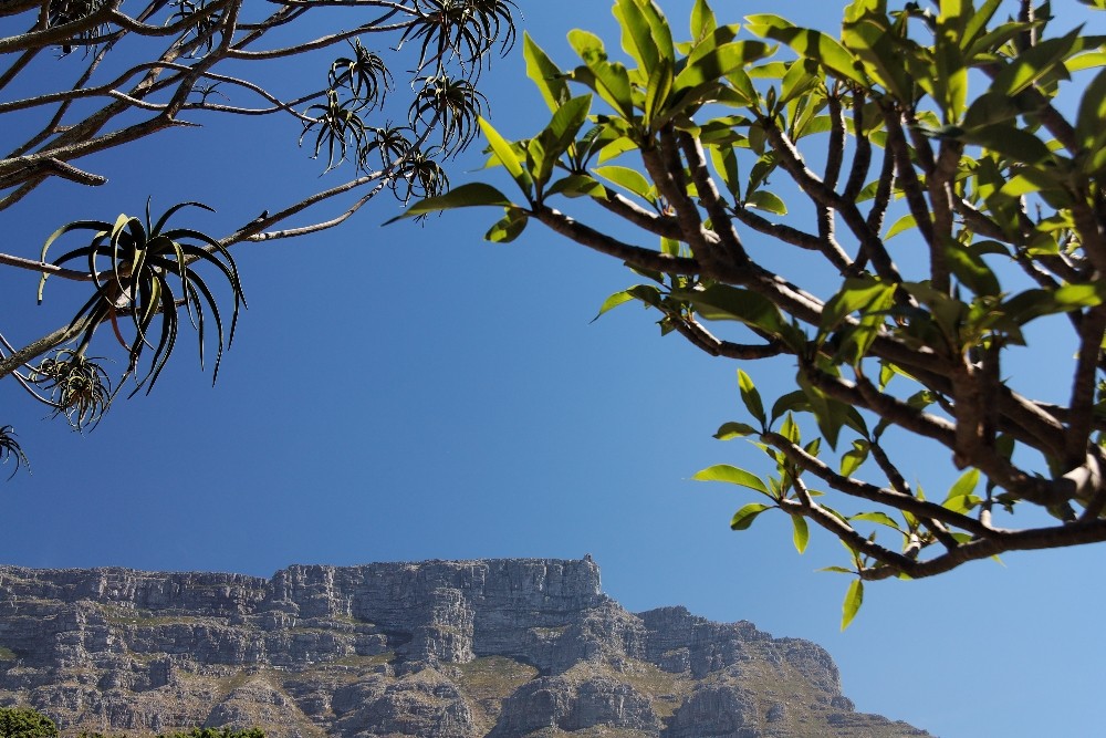 Tafelberg mal anders