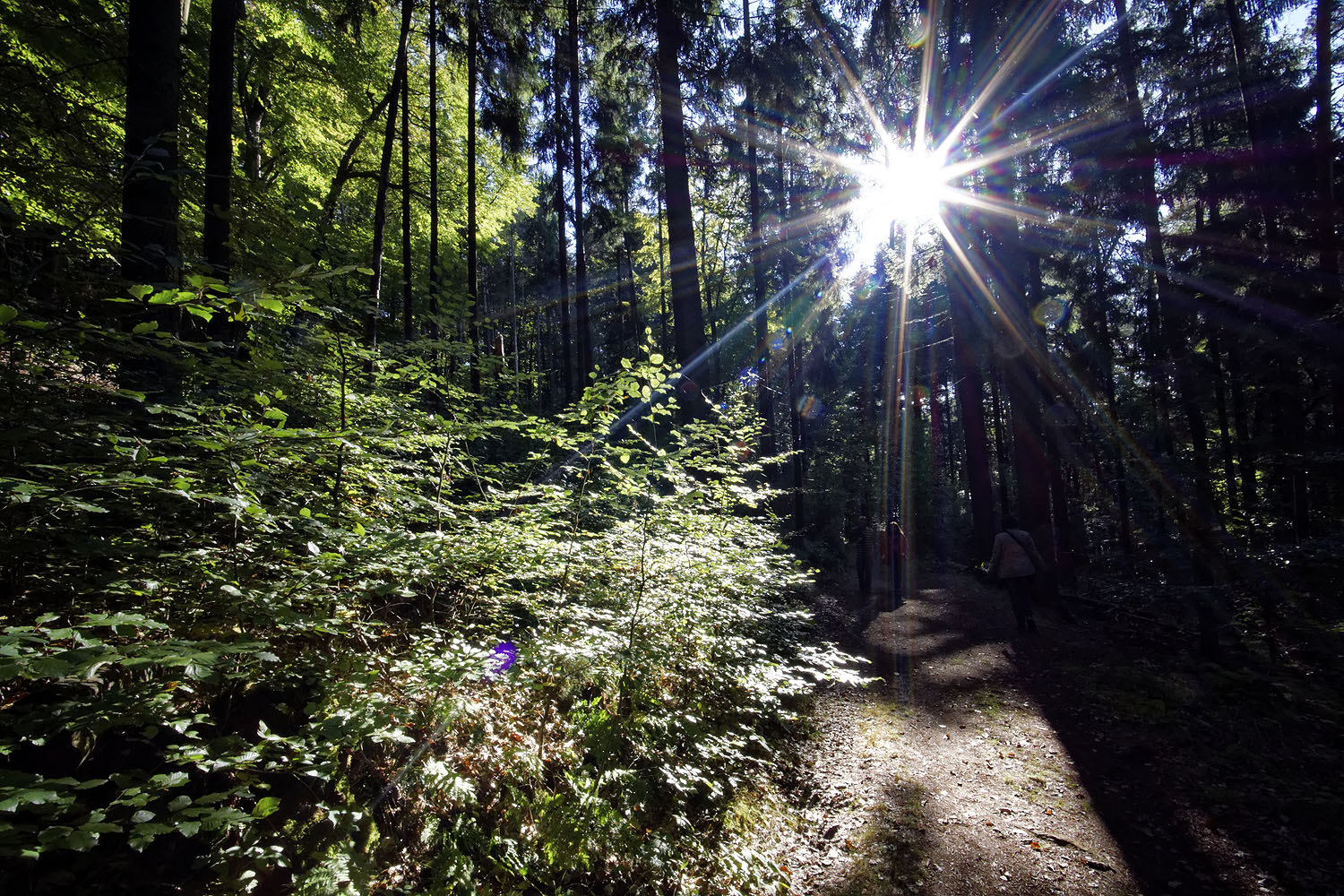 Tafelweg bei Zirkel