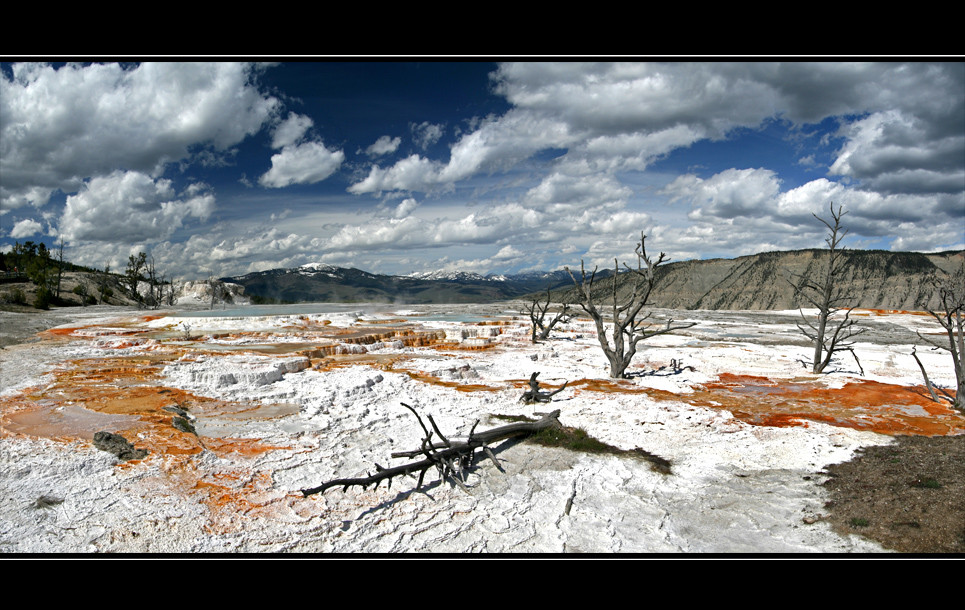 Tag 10: Unterwegs im Yellowstone N.P. "Sinter-Terrassen" RELOAD