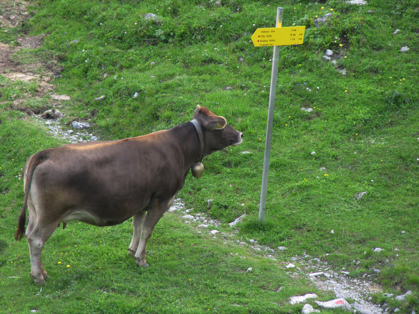 Tag 13- auf dem Weg zur Alm