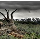 Tag 13: Craters of the Moon und Antelope Island #3