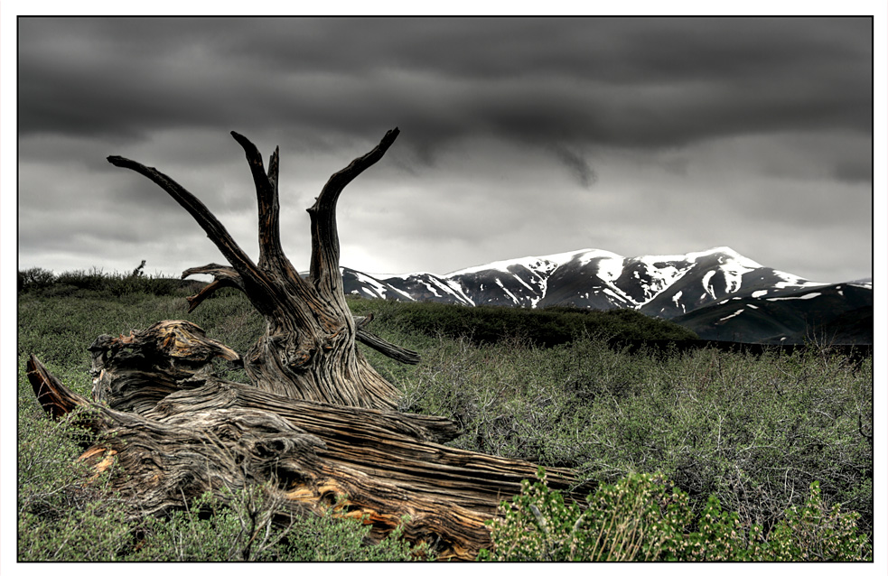 Tag 13: Craters of the Moon und Antelope Island #3