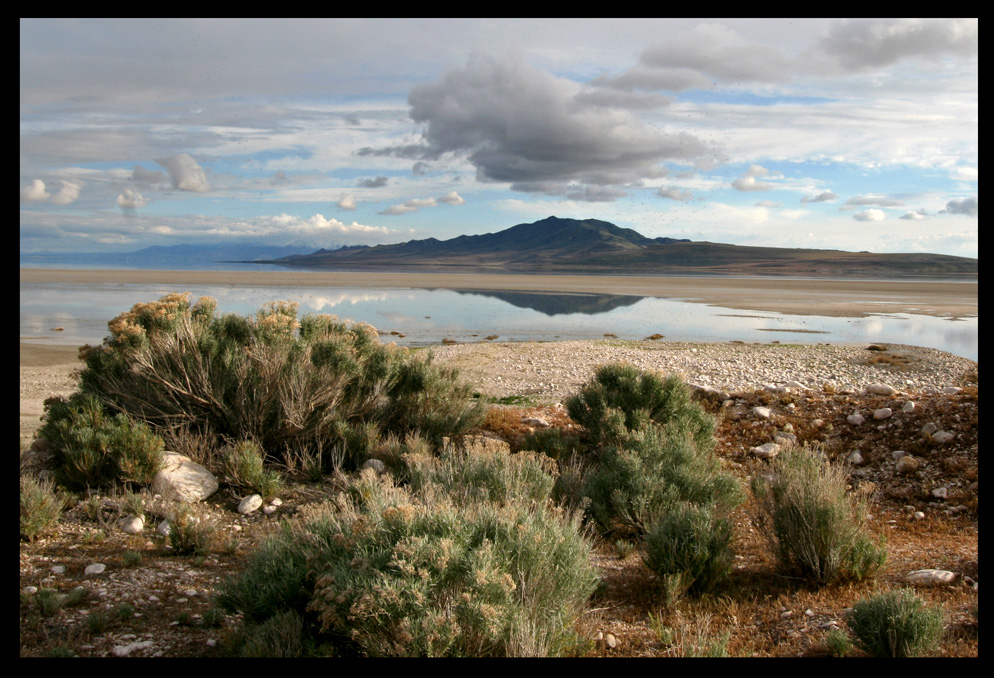 Tag 13: Craters of the Moon und Antelope Island #5