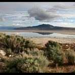 Tag 13: Craters of the Moon und Antelope Island #5