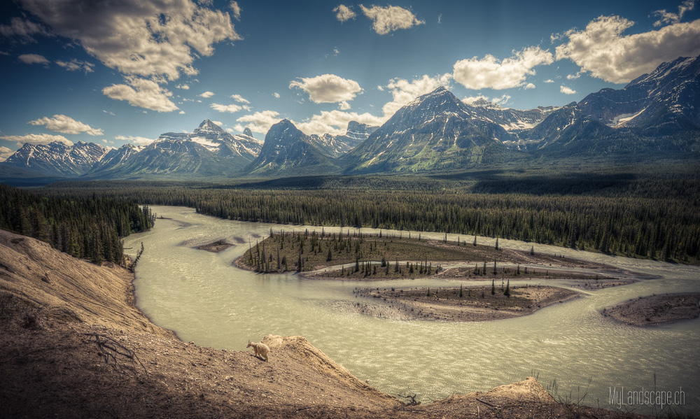 Tag 13: Icefield Parkway