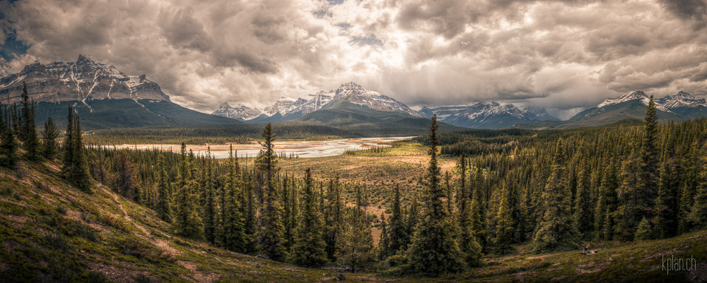 Tag 14: Icefield Parkway