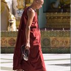 Tag 14, Zweiter Besuch der Shwedagon-Pagode in Yangon am Morgen vor der Heimreise #10