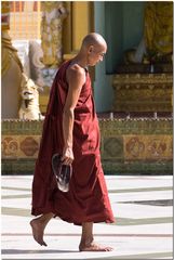 Tag 14, Zweiter Besuch der Shwedagon-Pagode in Yangon am Morgen vor der Heimreise #10