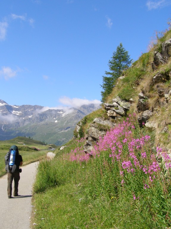 Tag 17: Der letzte Pass, von nun an geht es nur noch bergab